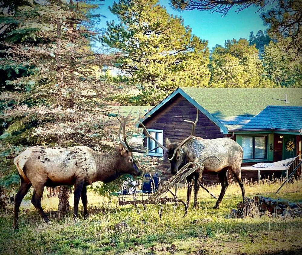 Mountain Shadows Resort Estes Park Exterior foto