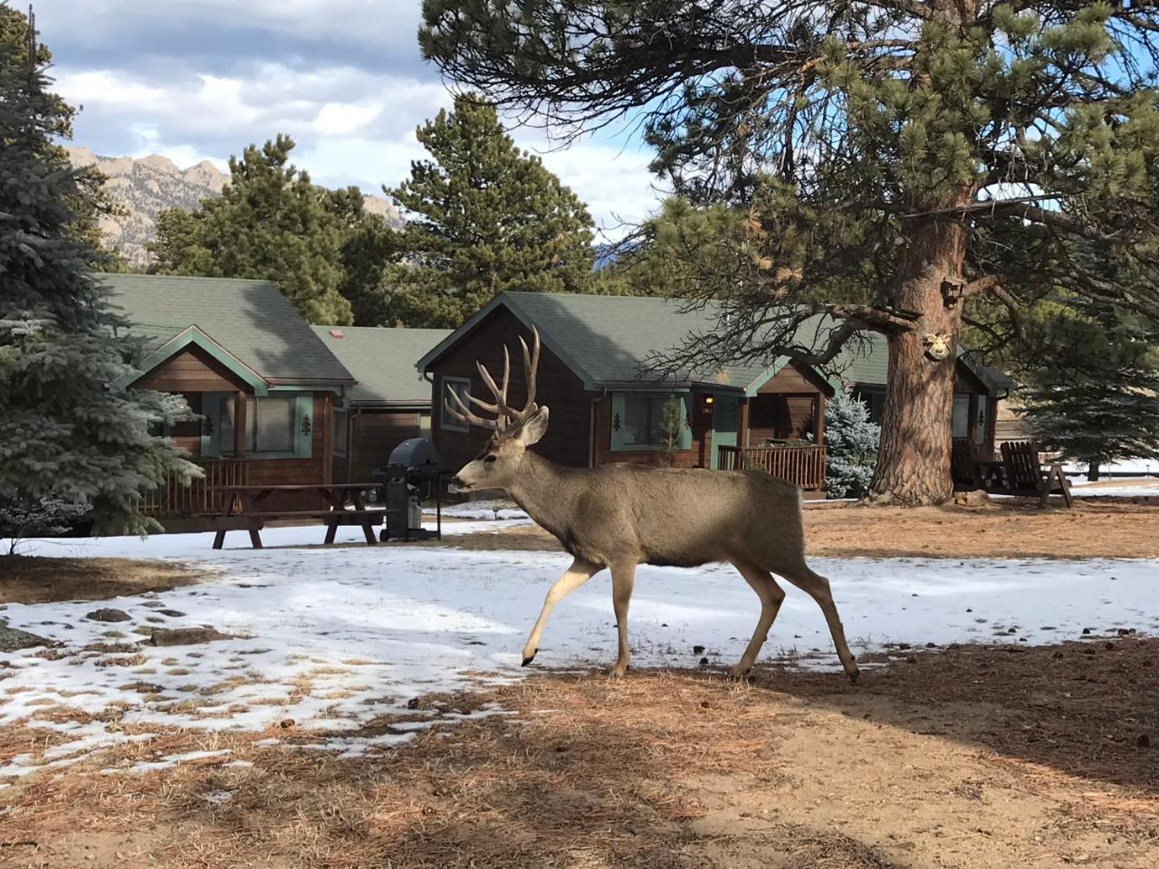 Mountain Shadows Resort Estes Park Exterior foto